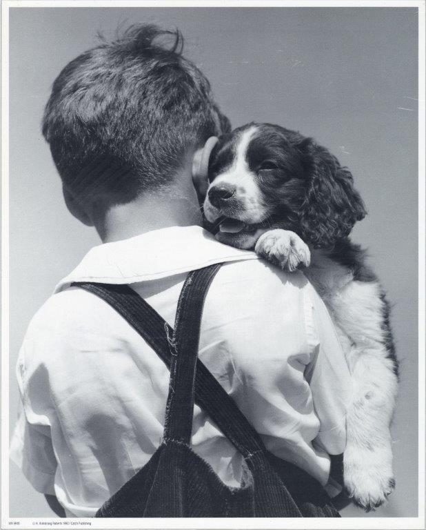 Puppy love (mini poster) - Catch Utrecht