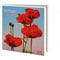 Red Poppies, Yvonne Melchers - Catch Utrecht