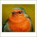 Kunstkaart met een roodborst van Erik van Ommen