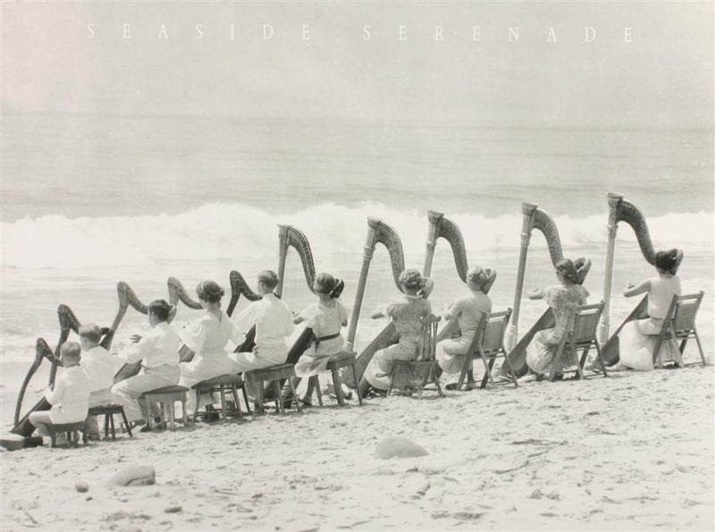 Seaside Serenade - Catch Utrecht