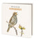 Songbirds, Elwin van der Kolk, Vogelbescherming - Catch Utrecht