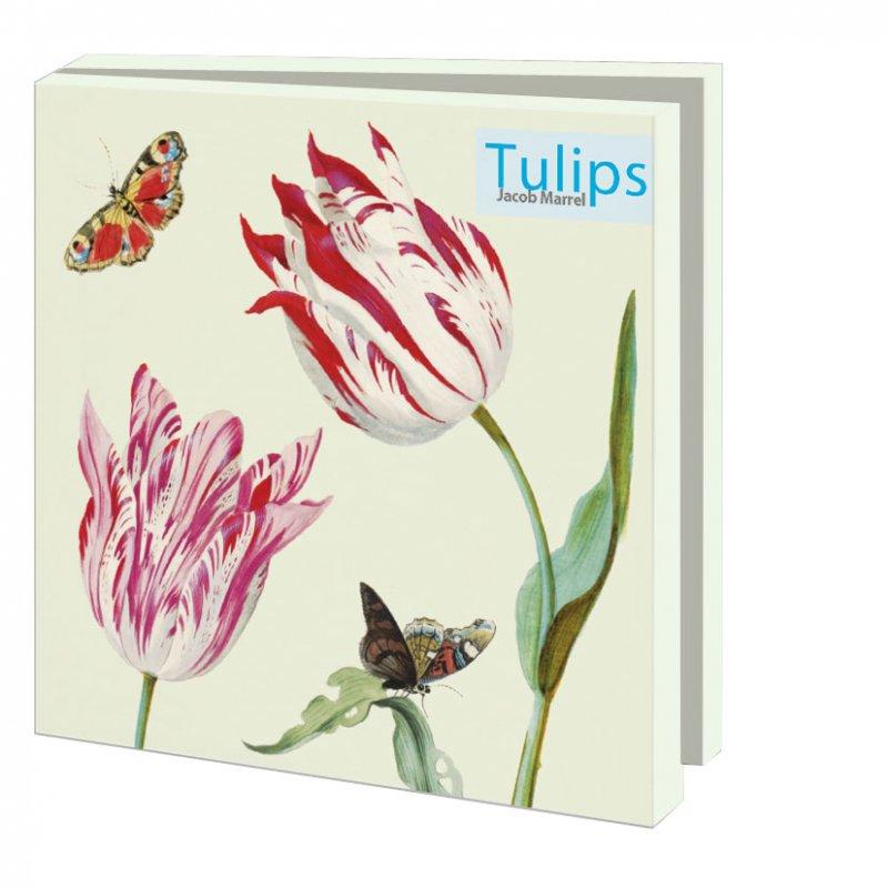 Tulips, Jacob Marrel, Collection Rijksmuseum - Catch Utrecht