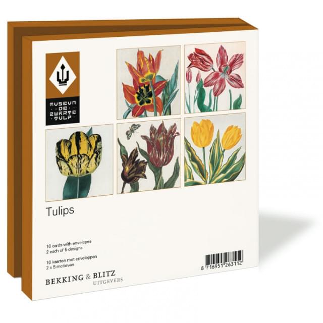 Tulips, Museum de Zwarte Tulp - Catch Utrecht