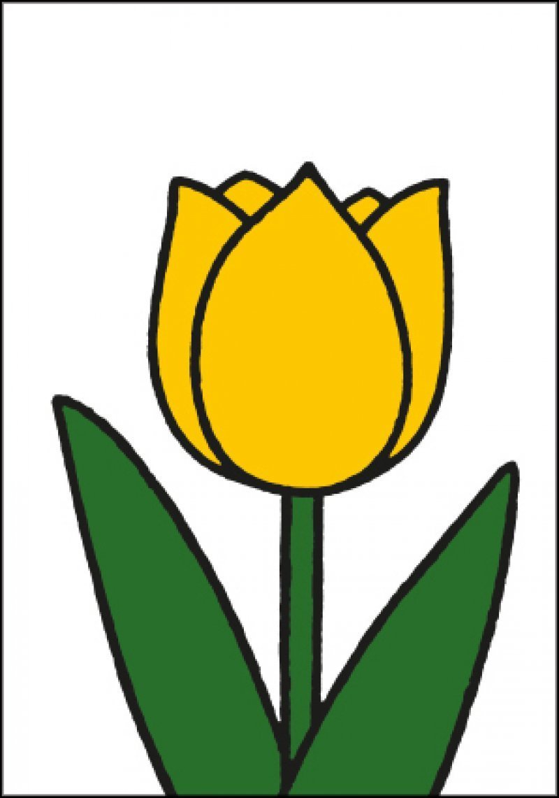 Tulp geel - Catch Utrecht