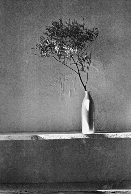 Twig in Ceramic Bottle - Catch Utrecht
