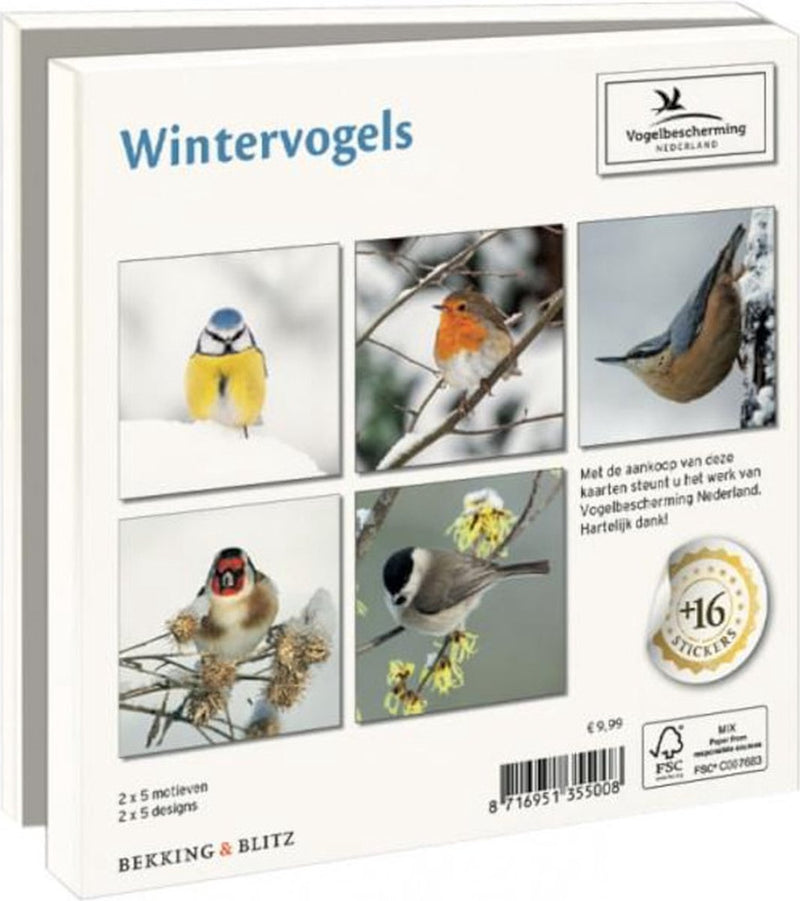 Wintervogels, Vogelbescherming Nederland - Catch Utrecht