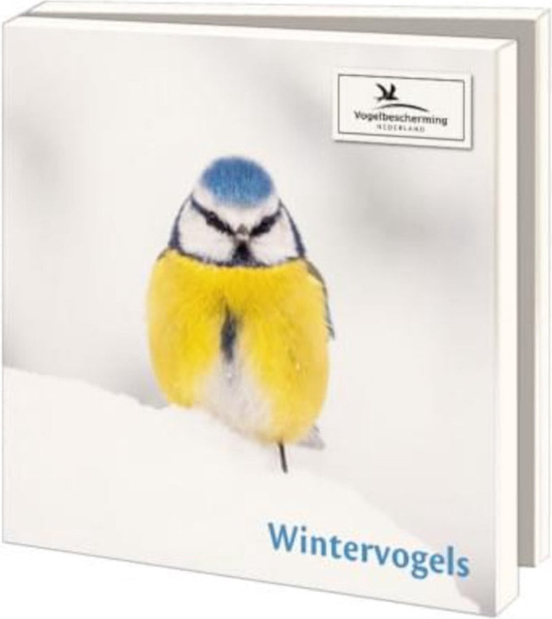 Wintervogels, Vogelbescherming Nederland - Catch Utrecht