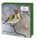 Wintervogels, Vogelbescherming Nederland (incl sluitstickers) - Catch Utrecht