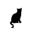Zwarte Kat - Catch Utrecht